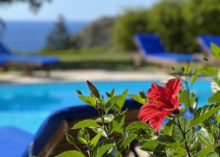 Anemos, Spartia, Kefalonia ヴィラ